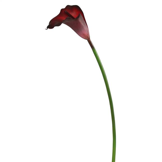 28" Calla Lily Burgundy Large Stem