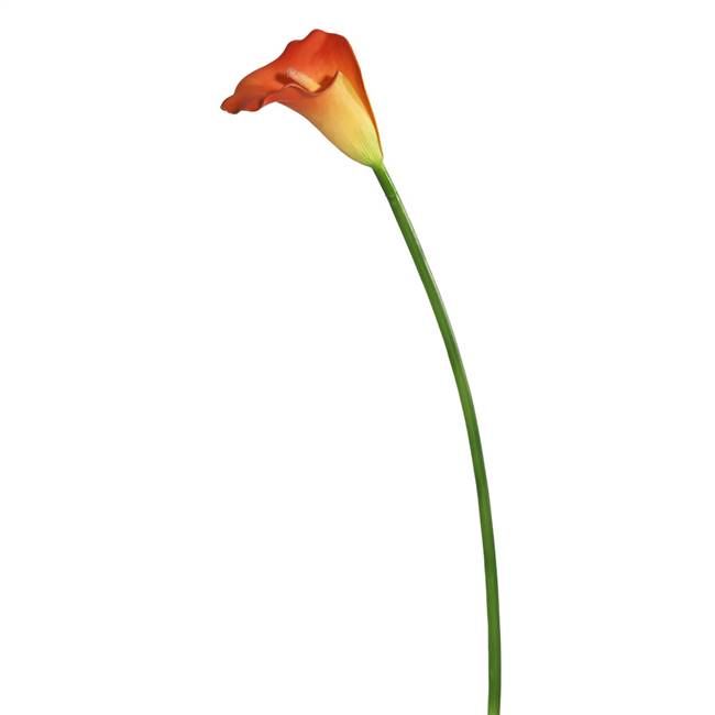 28" Calla Lily OR/Yl Large Stem