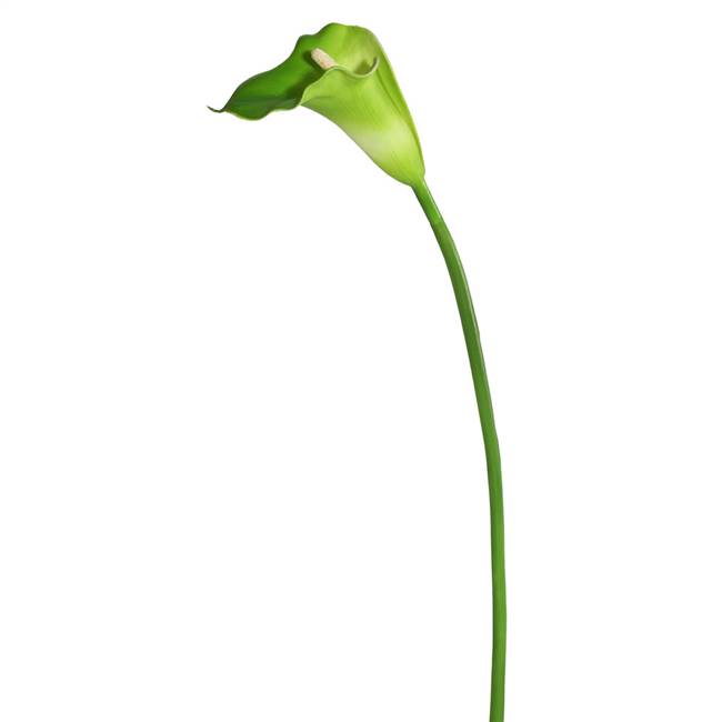 28" Calla Lily Wh/Gr Large Stem