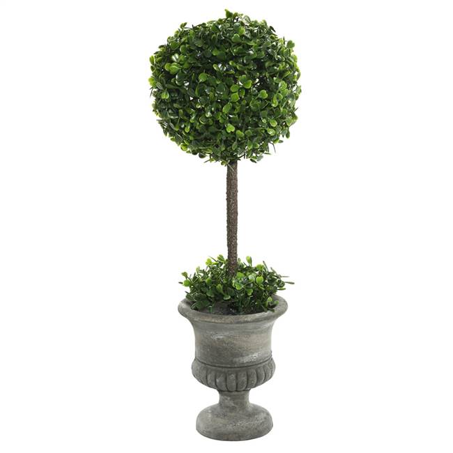 21" Boxwood Topiary In Container