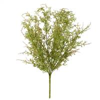 22" Green Sweet Annie Fern Bush