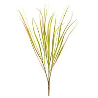 29" Green Dracena Marginata Bush