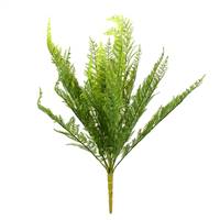 20" Green Lace Fern Bush