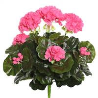 15.25" Pink Geranium Bush