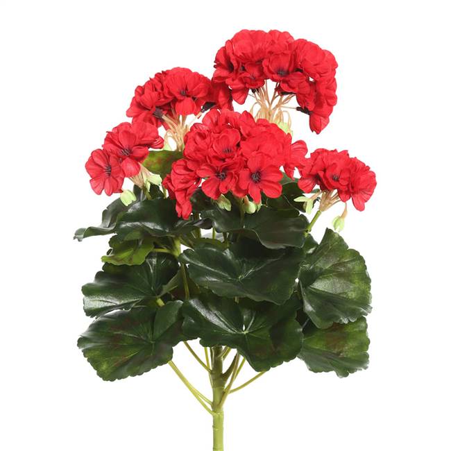 14.5" Red Geranium Bush
