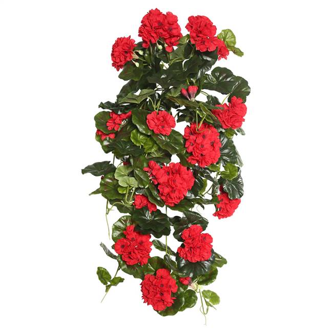 29" Red Geranium Hanging Bush