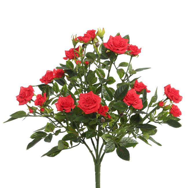15" Red Mini Diamond Rose Bush