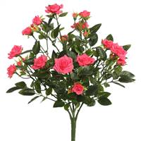 15" Hot Pink Mini Diamond Rose Bush