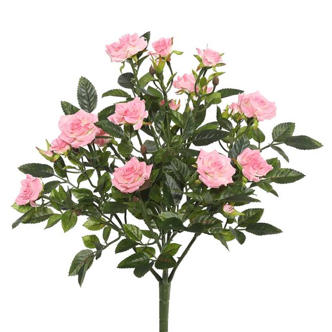 15" Light Pink Mini Diamond Rose Bush