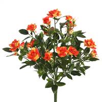 15" Orange Mini Diamond Rose Bush