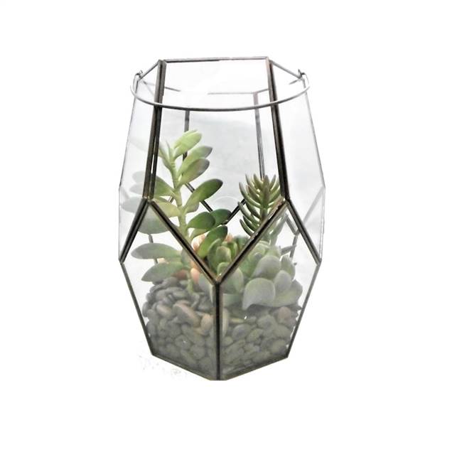 10" Green Succulents in Glass Terrarium