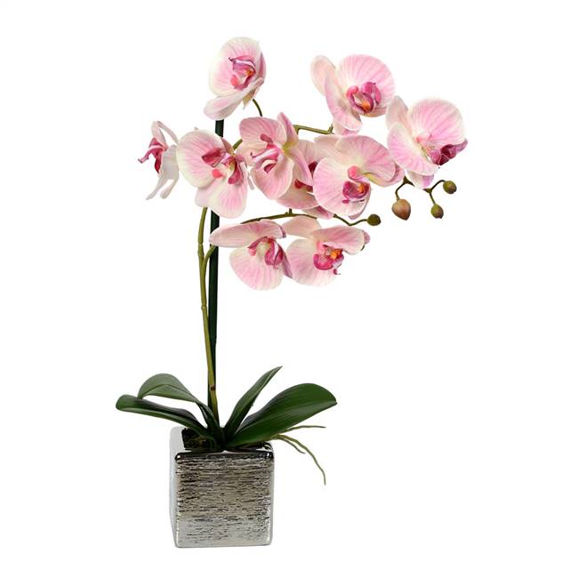18" Pink Phalaenopsis in Metal Pot RT
