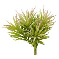 6.6" Green Crassula Tetragona Pick(3/Pk)