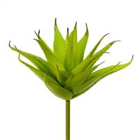 6" Green Aloe Pick (3/Pk)