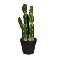 14" Green Potted Cactus