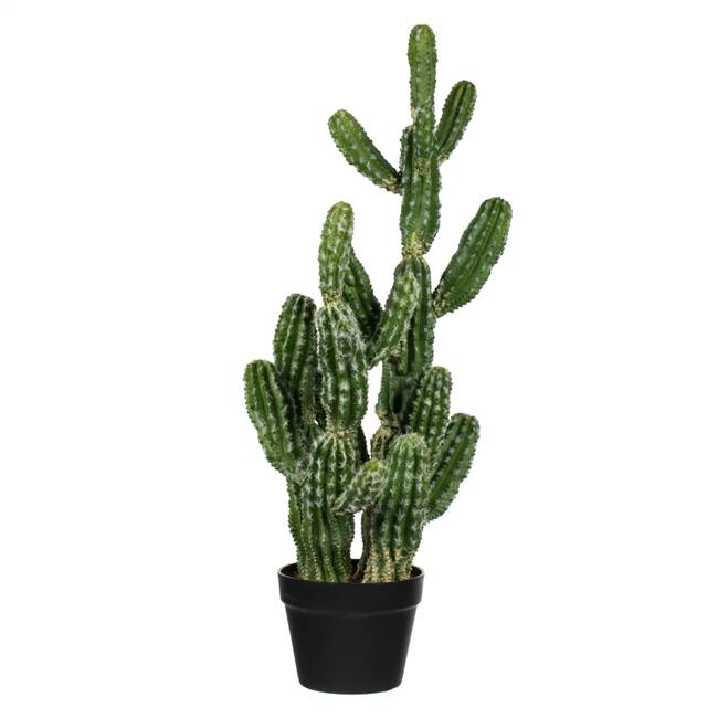 31" Green Potted Cactus