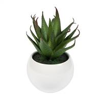 5" Green/Red/Gray Succulent Wht Pot Set3