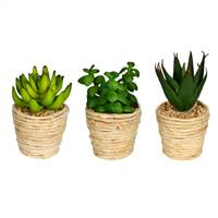 5" Green/Red Succulent Twine Pot Set/3