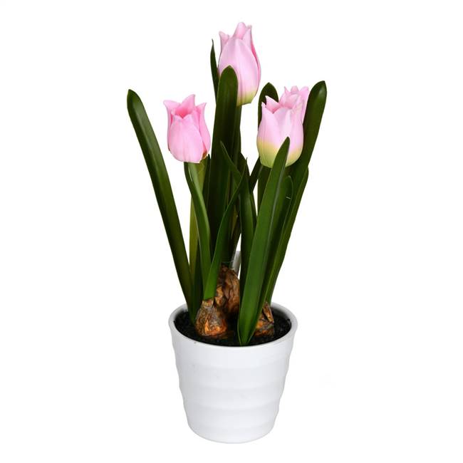 10" Pink Tulips in White Pot 2/Pk