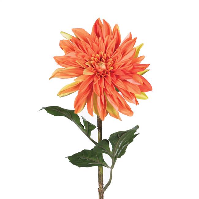 28" Dahlia Stem Orange