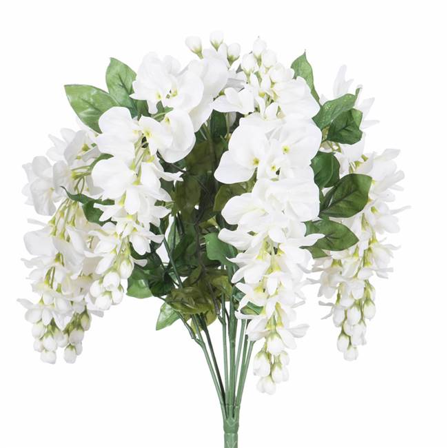 19 " Wistera Bush-White