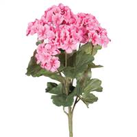 18" Geranium Bush-Coral