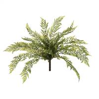 18" Green Boston Fern Bush