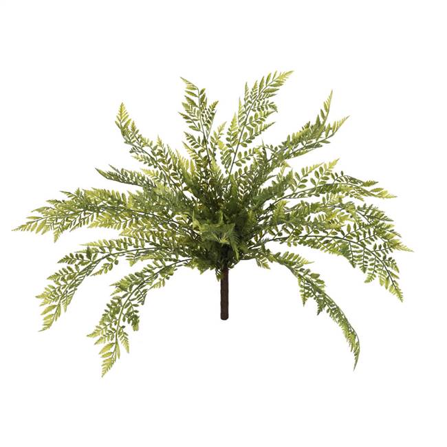 18" Green Boston Fern Bush