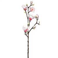 38" White Magnolia Stem