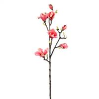 38" Pink Magnolia Stem