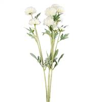 27" White Daisy Spray Pk/4