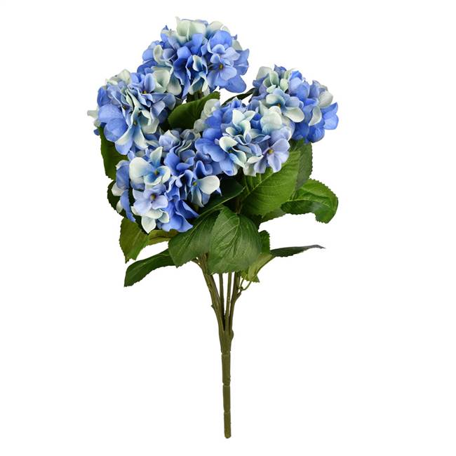 21" Blue Hydrangea Bush