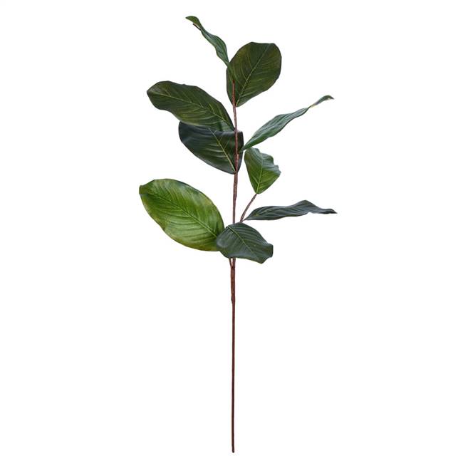 30" Green Magnolia Spray Pk/3