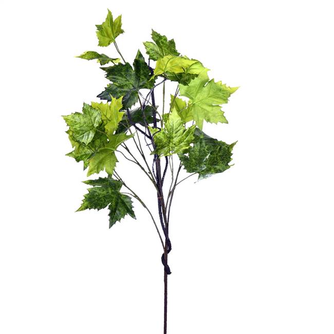 51" Green Platanus Leaf Branch
