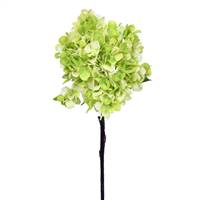 27" Green Hydrangea Spray