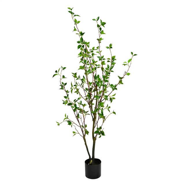 48" Potted Baby Leaf Tree