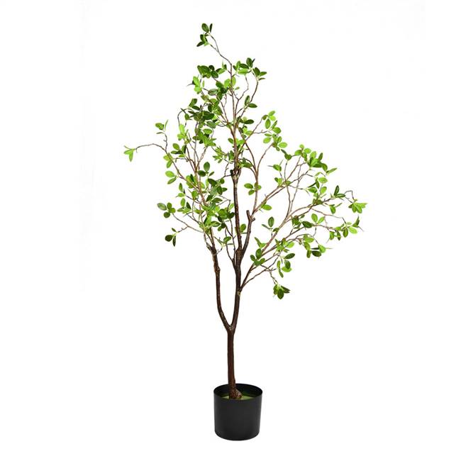 48" Potted Milan Leaf Tree