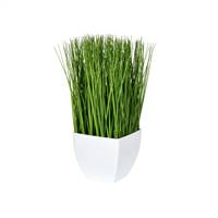 11.5" Green Potted Grass