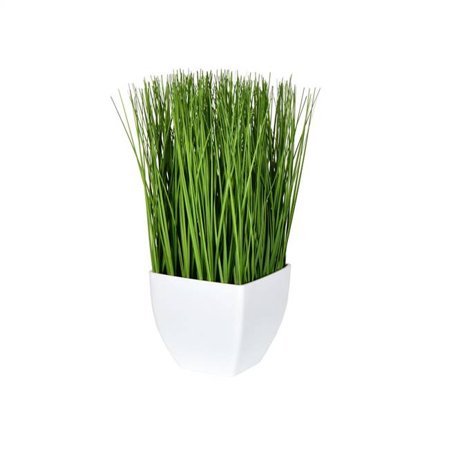 11.5" Green Potted Grass