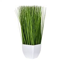 22.5" Green Potted Grass