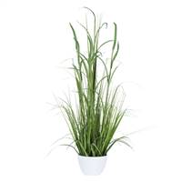 41" Green Potted Bamboo Grass