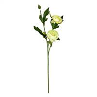 16" Lime Peony Spray 6/Pk