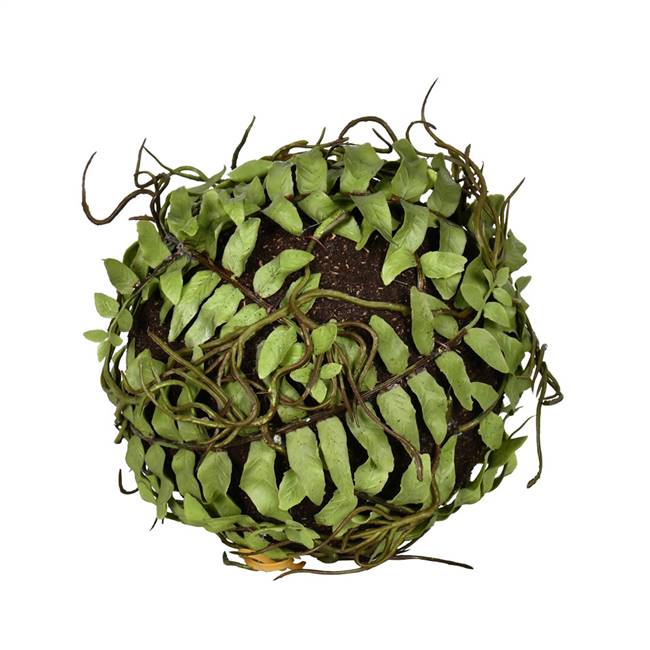 5"  Green Boston Fern Ball 2/Pk