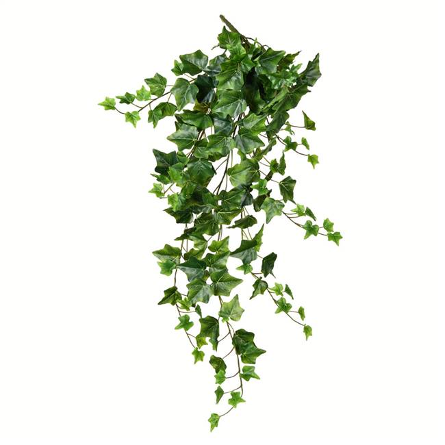 34" Green Ivy Hanging Bush