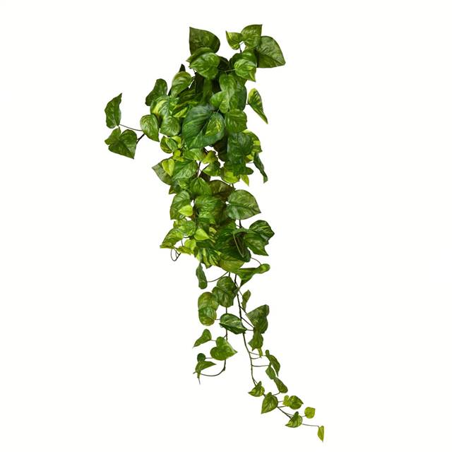 39" Green Pothos Leaf Hanging Bush