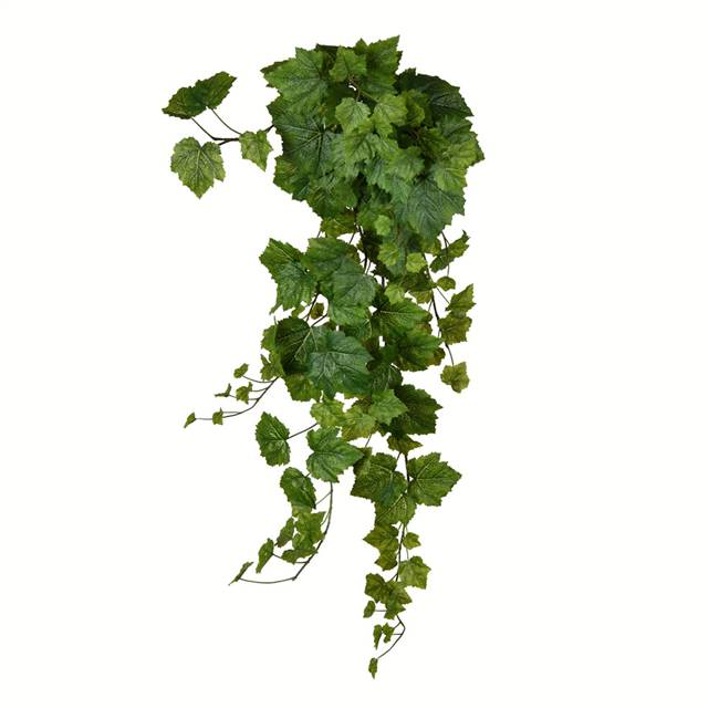 39" Green Grape Ivy Hanging Bush