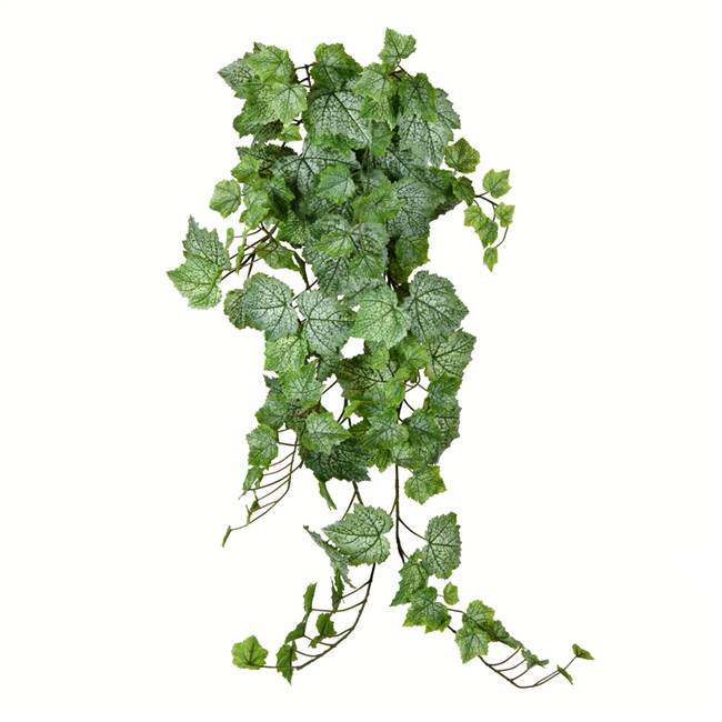 39" Green & White Grape Ivy Hanging Bush