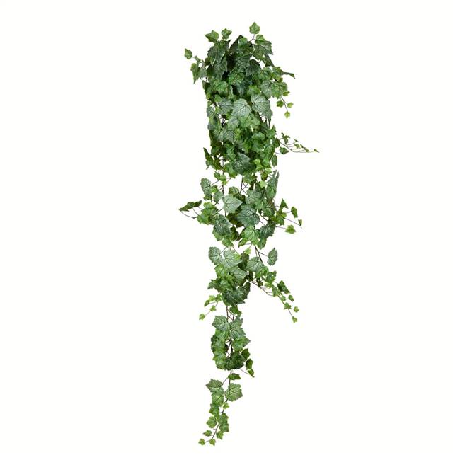 6' Green & White Grape Ivy Hanging Bush