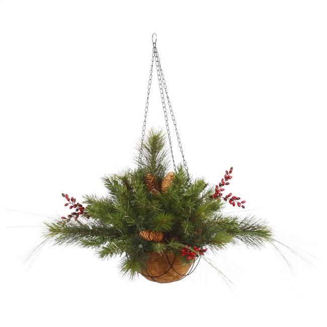 12"x20" Mixed Berry Cone Hang Basket 61T