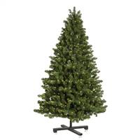 14' x 72" Med Grand Teton Tree 5210T